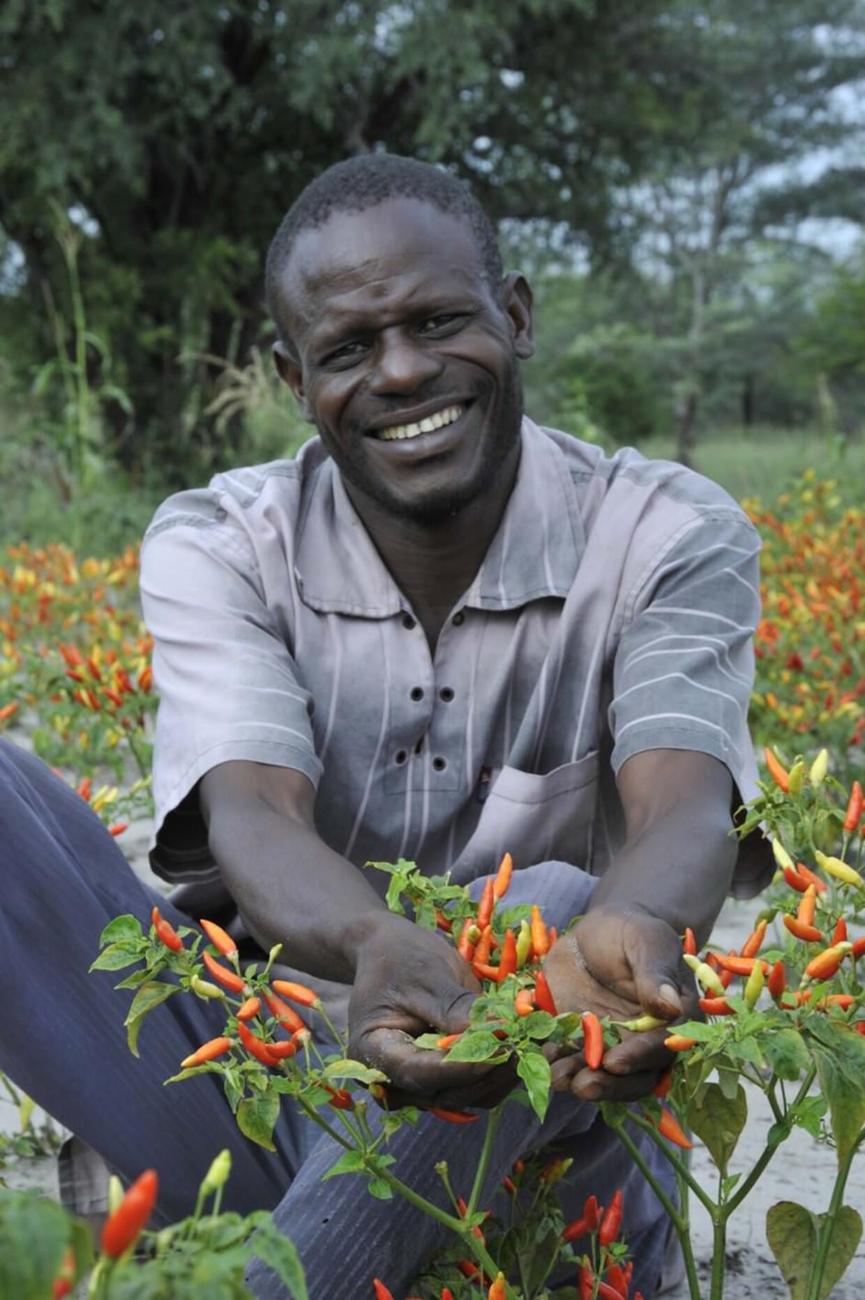 Chilli farmer Joseph Itana