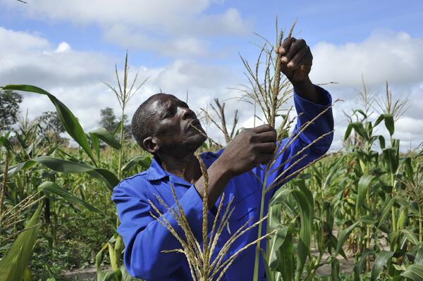 Farmer Christopher Muswalal