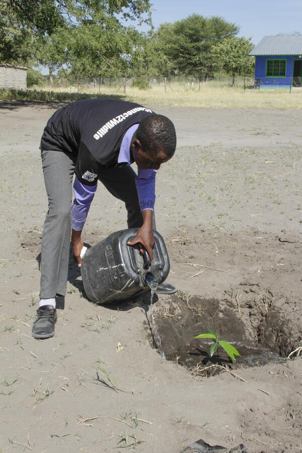 Planting trees in Zambezi