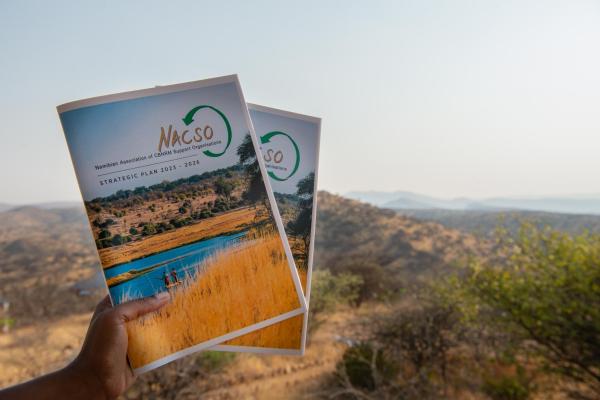 NACSO strategic plan